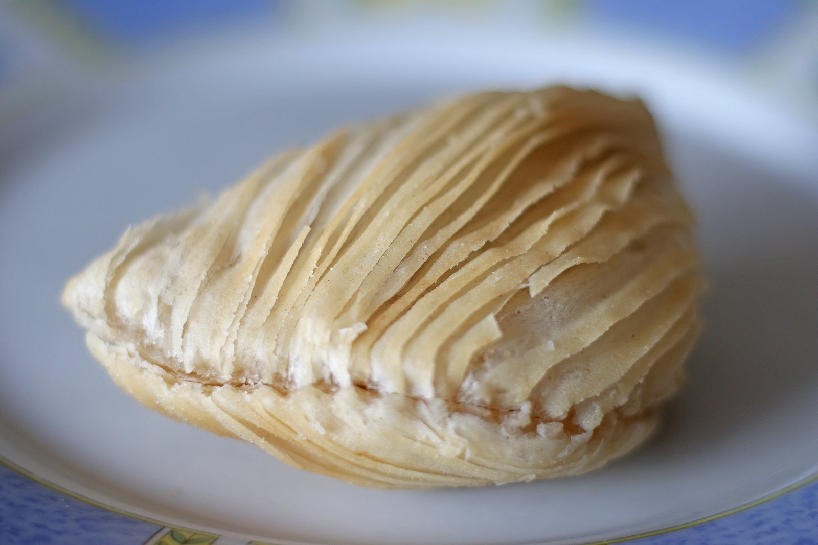 Calzoni di San Giuseppe Riccia 2026 (1)