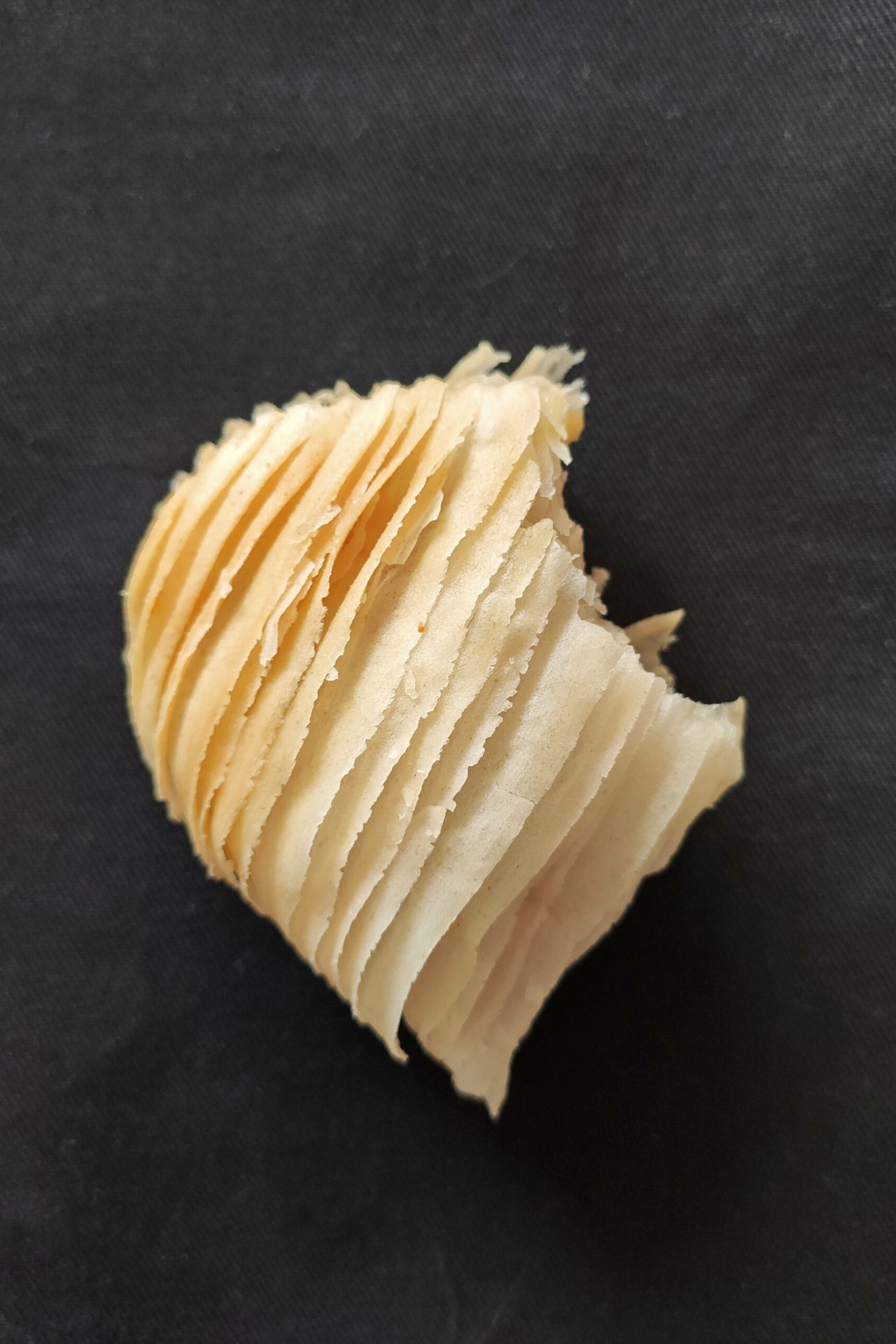 Calzoni di San Giuseppe Riccia 2026 (2)