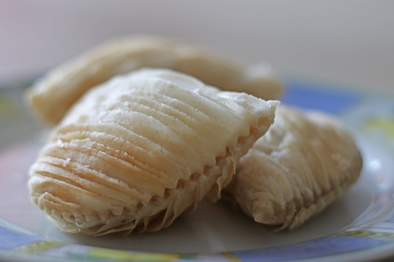 Calzoni di San Giuseppe Riccia 2026 (5)