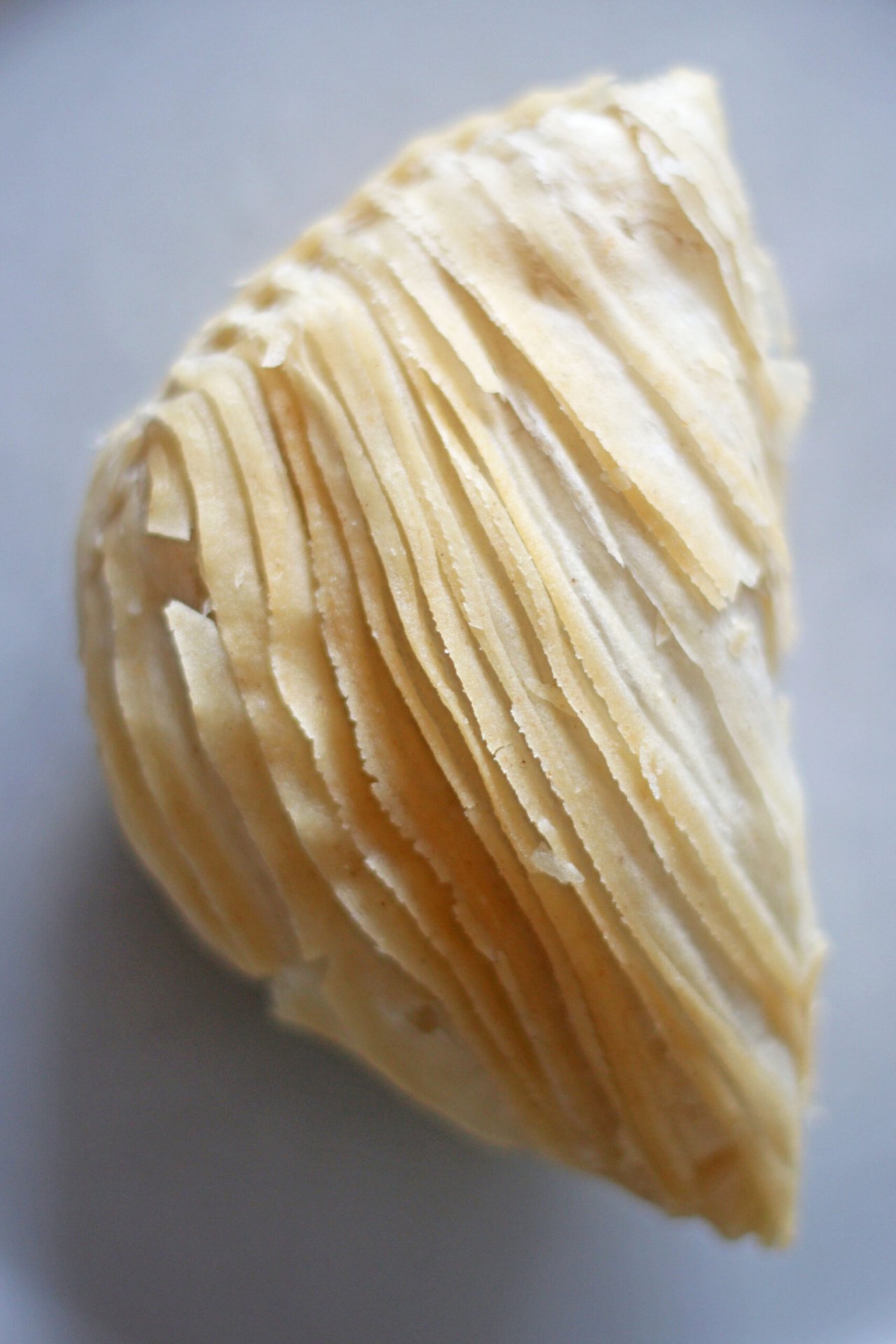 Calzoni di San Giuseppe Riccia 2026 (6)