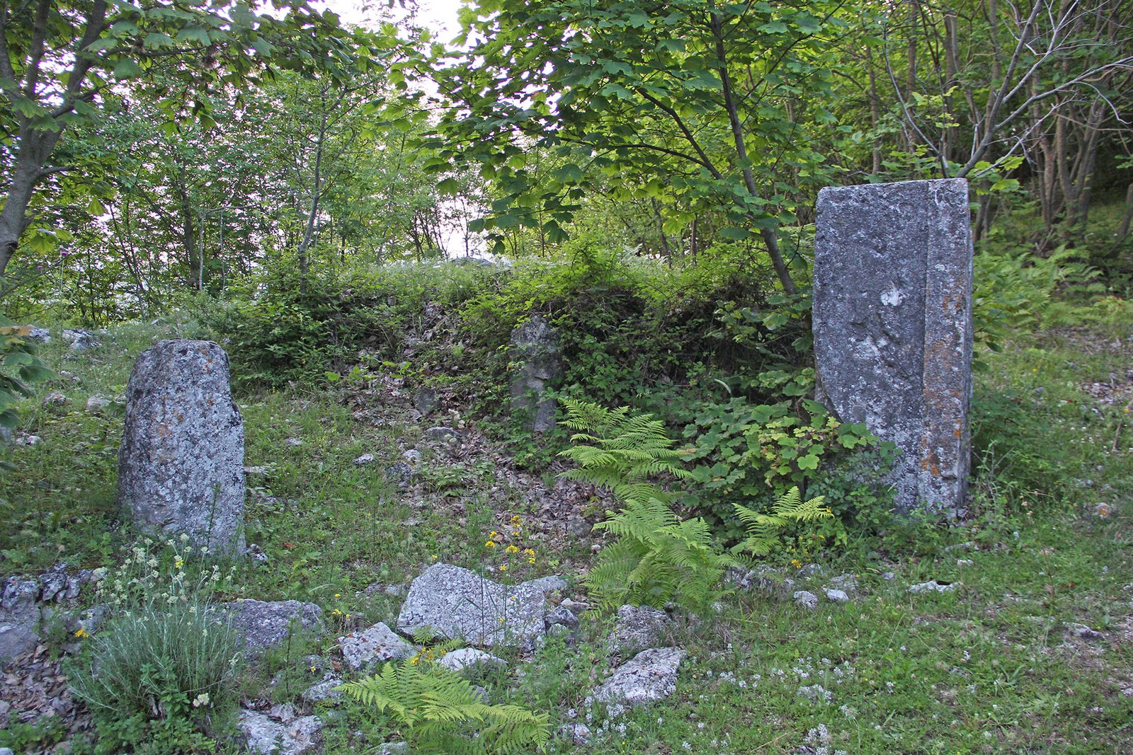 Conca Casale 2024 (2)