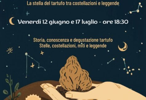 tartufo
