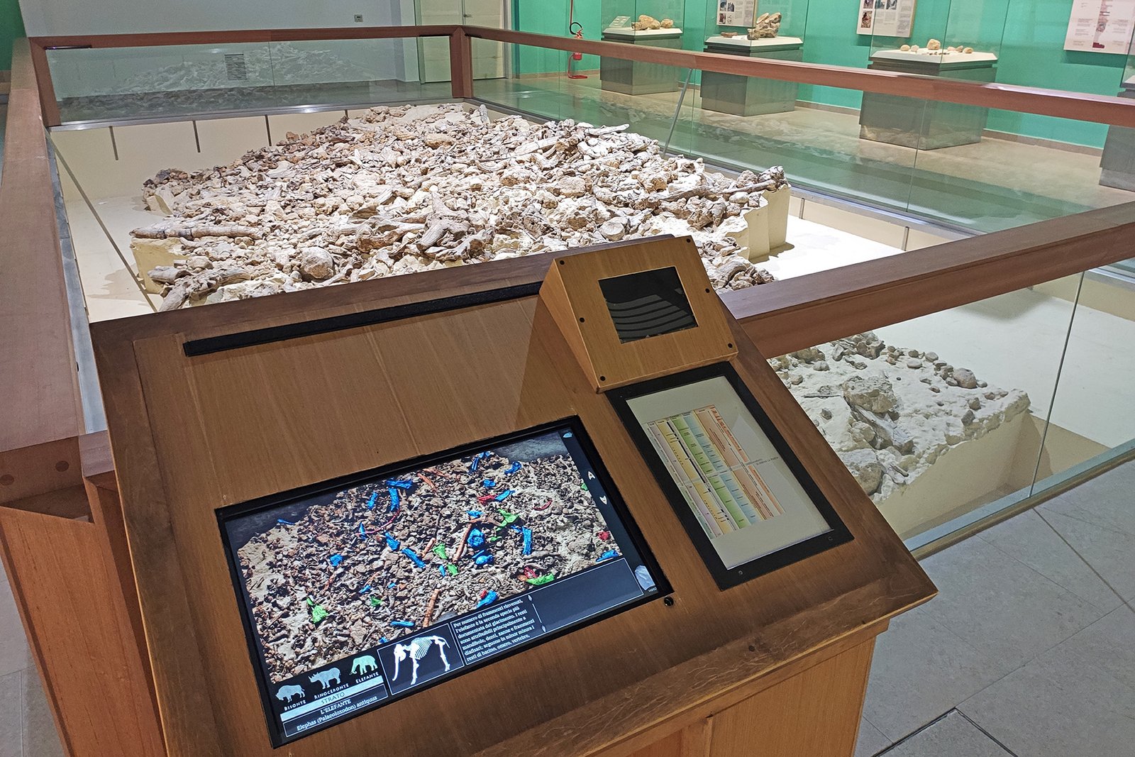 Isernia Museo Paleolitico 2026 (1)