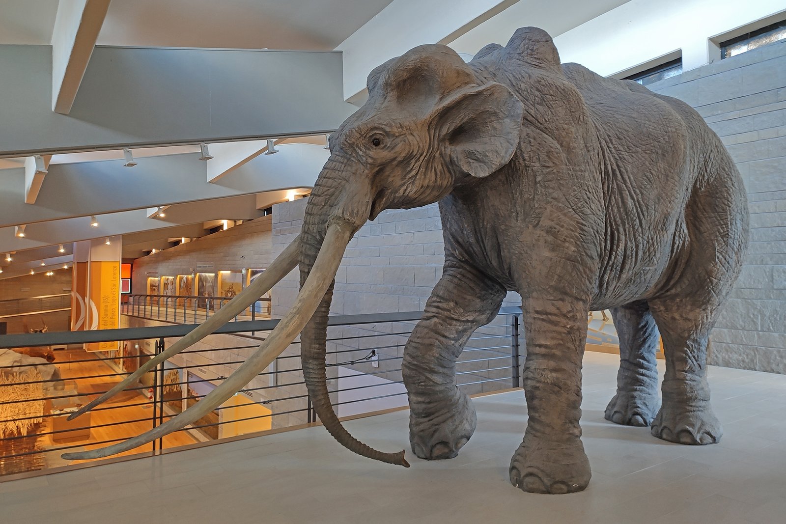 Isernia Museo Paleolitico 2026 (2)