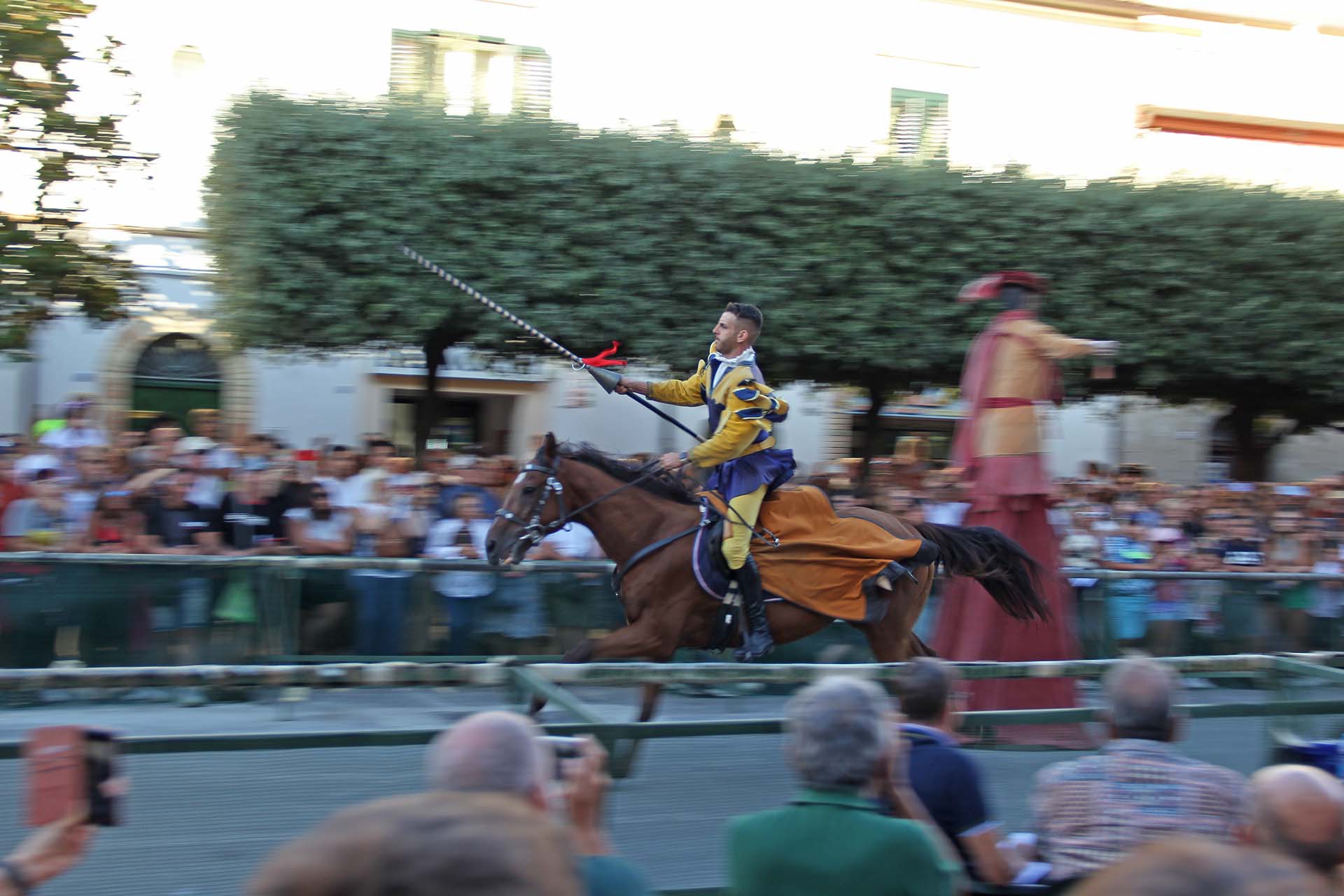 Palio San Nicola Guglionesi (10)