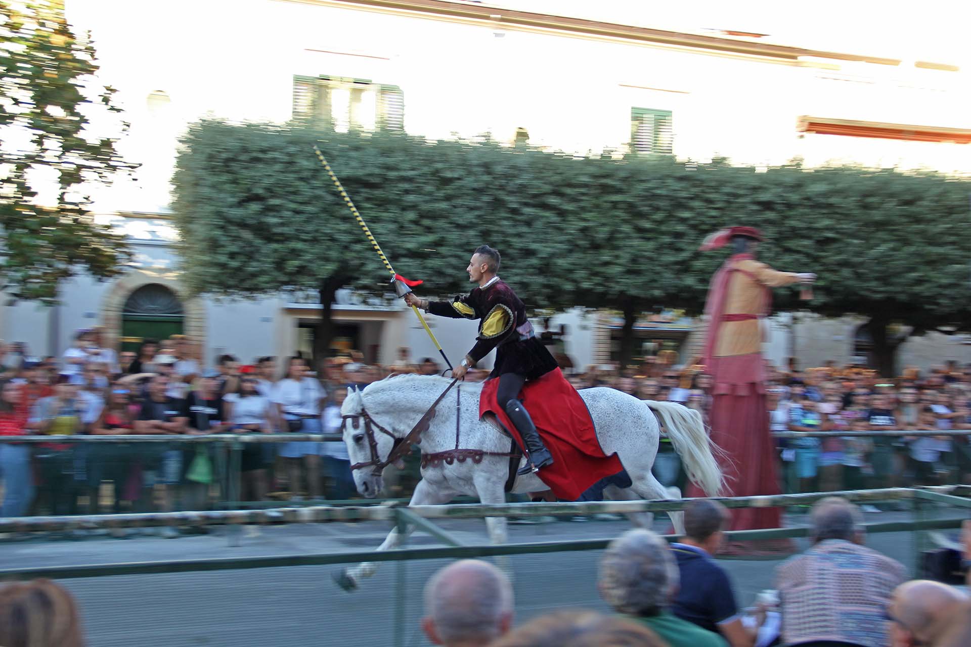 Palio San Nicola Guglionesi (11)