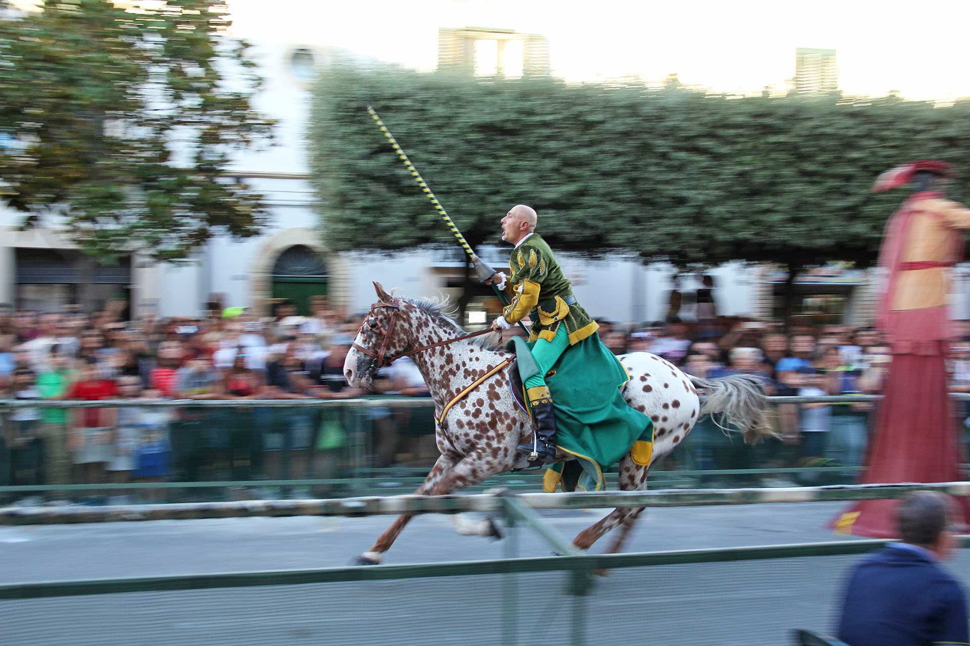 Palio San Nicola Guglionesi (14)