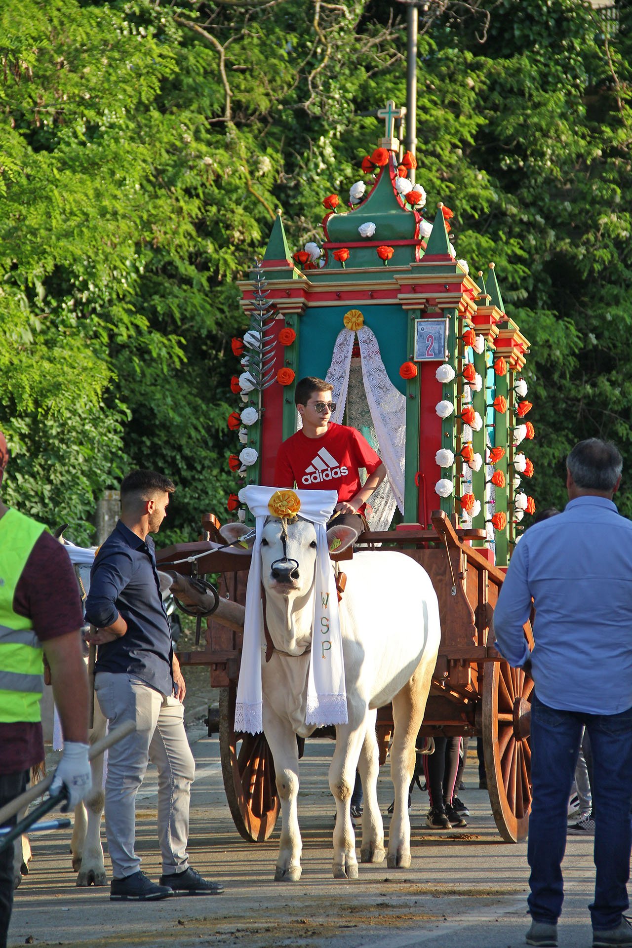 carrese san pardo larino 2023 (3)
