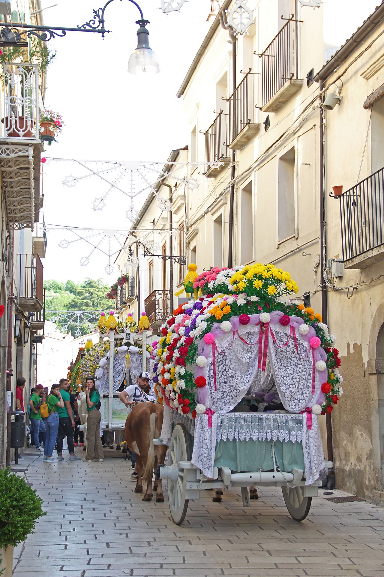 carrese san pardo larino 2023 (8)