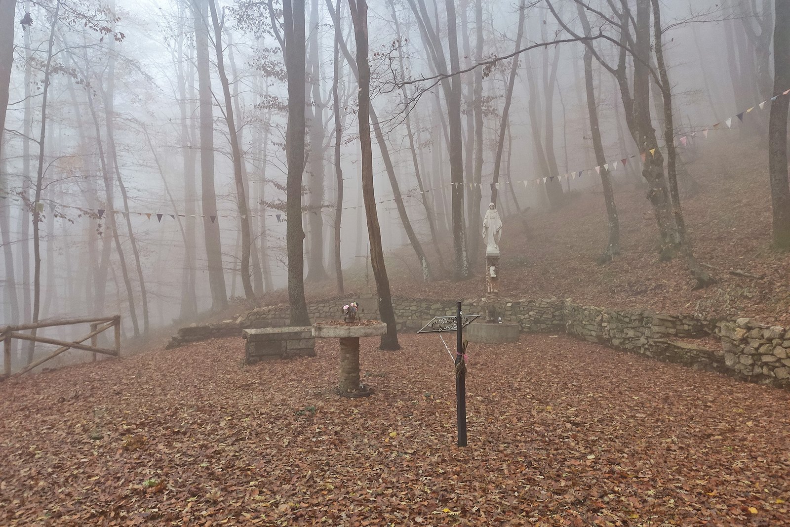 castelmauro monte mauro faggeta