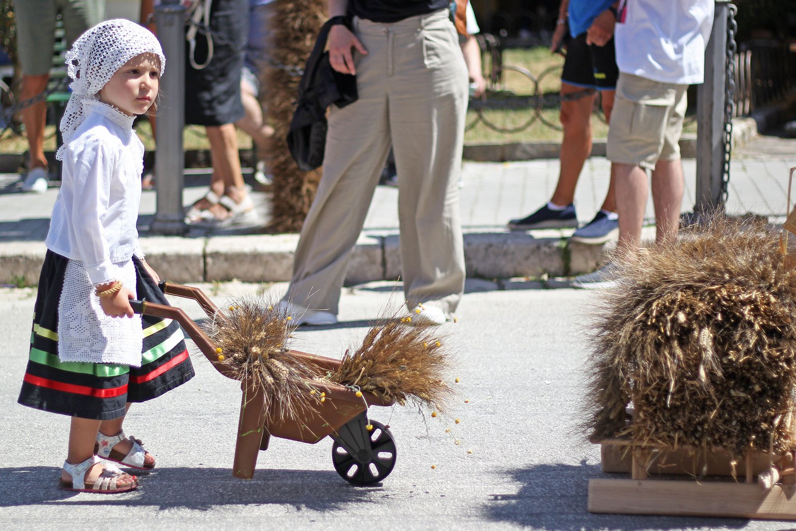 festa del grano sant’anna jelsi 2024 (9)