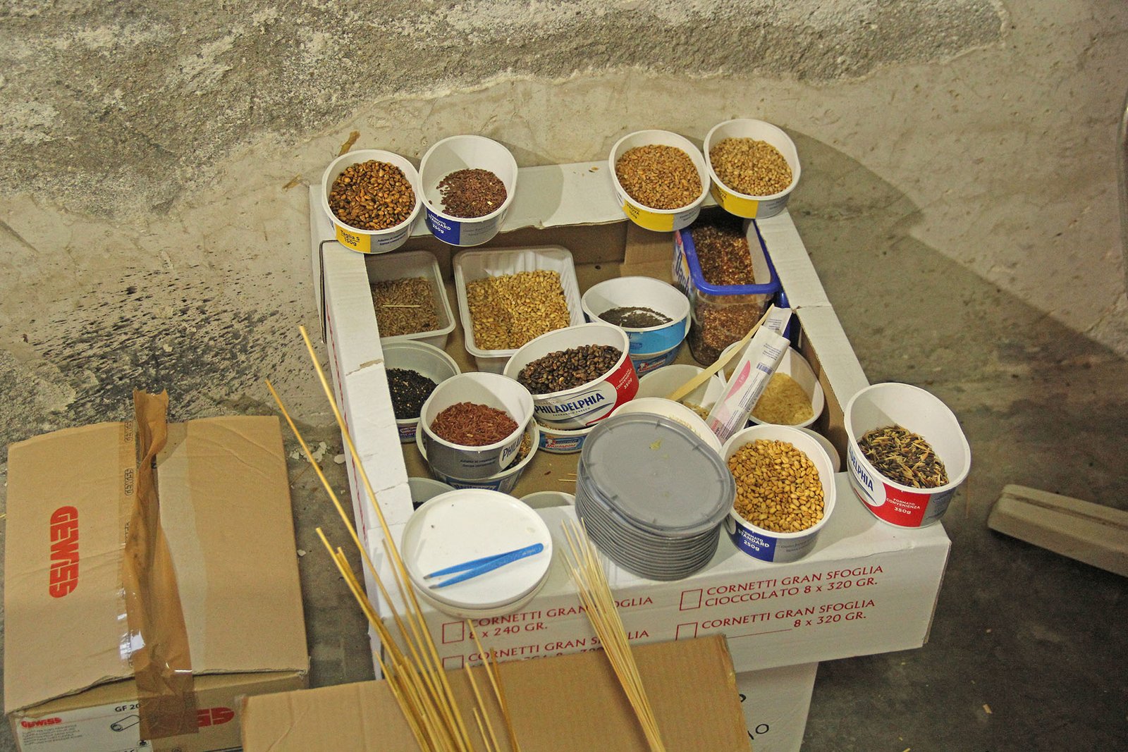 festa del grano sant’anna jelsi preparativi (1)