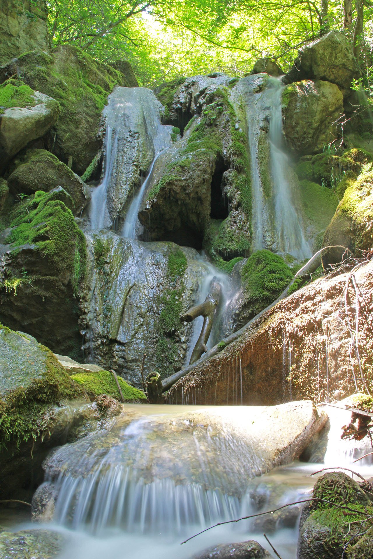 matrice cascata del sambuco 2025