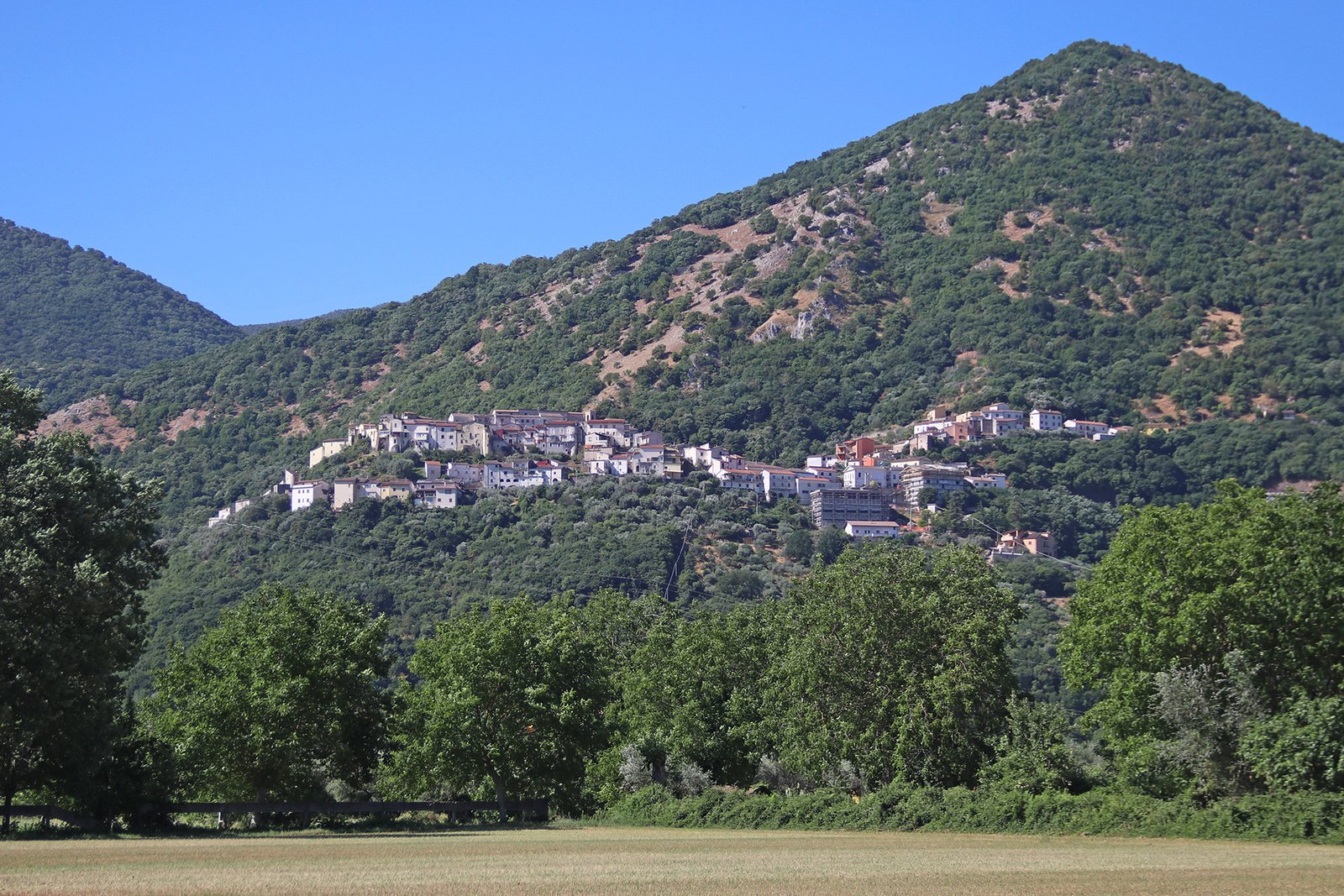 sesto campano 2025 (1)