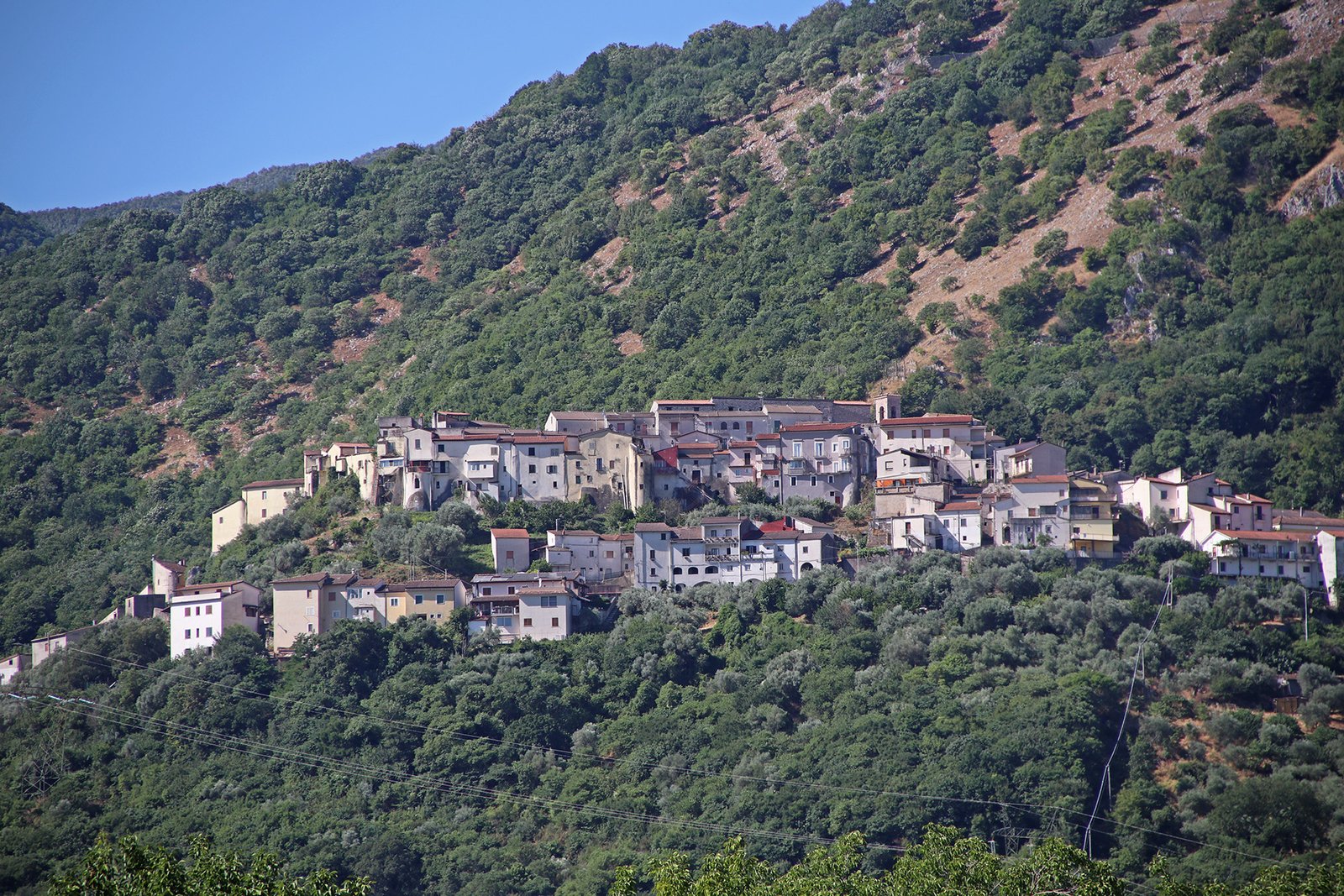 sesto campano 2025 (2)