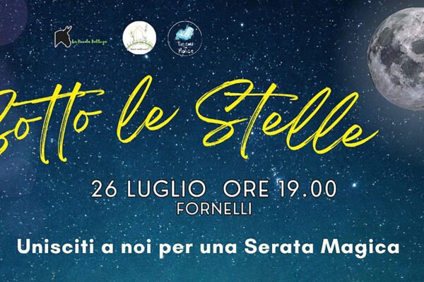 stelle