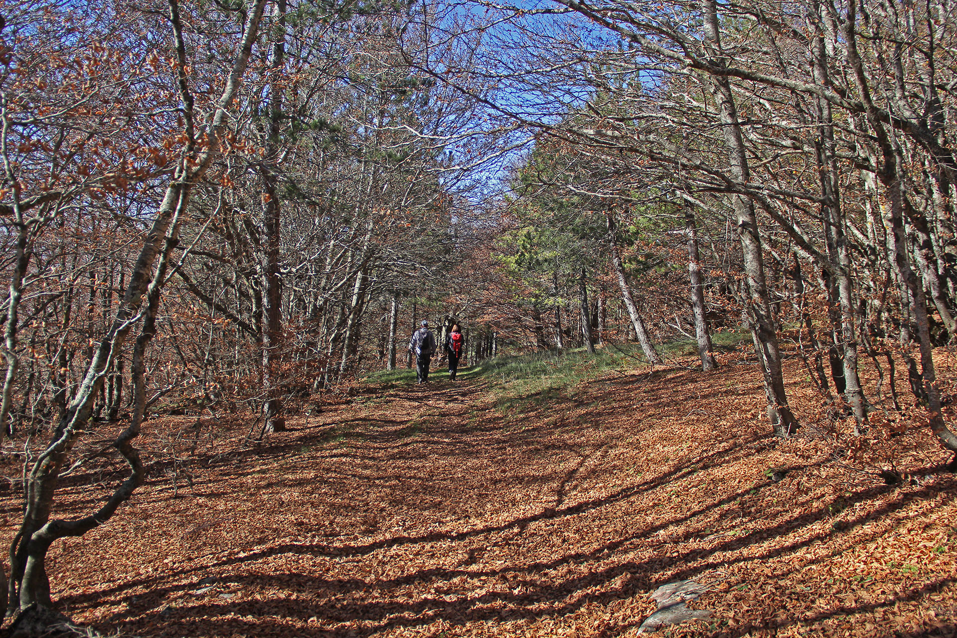 trekking monte campo capracotta (10)