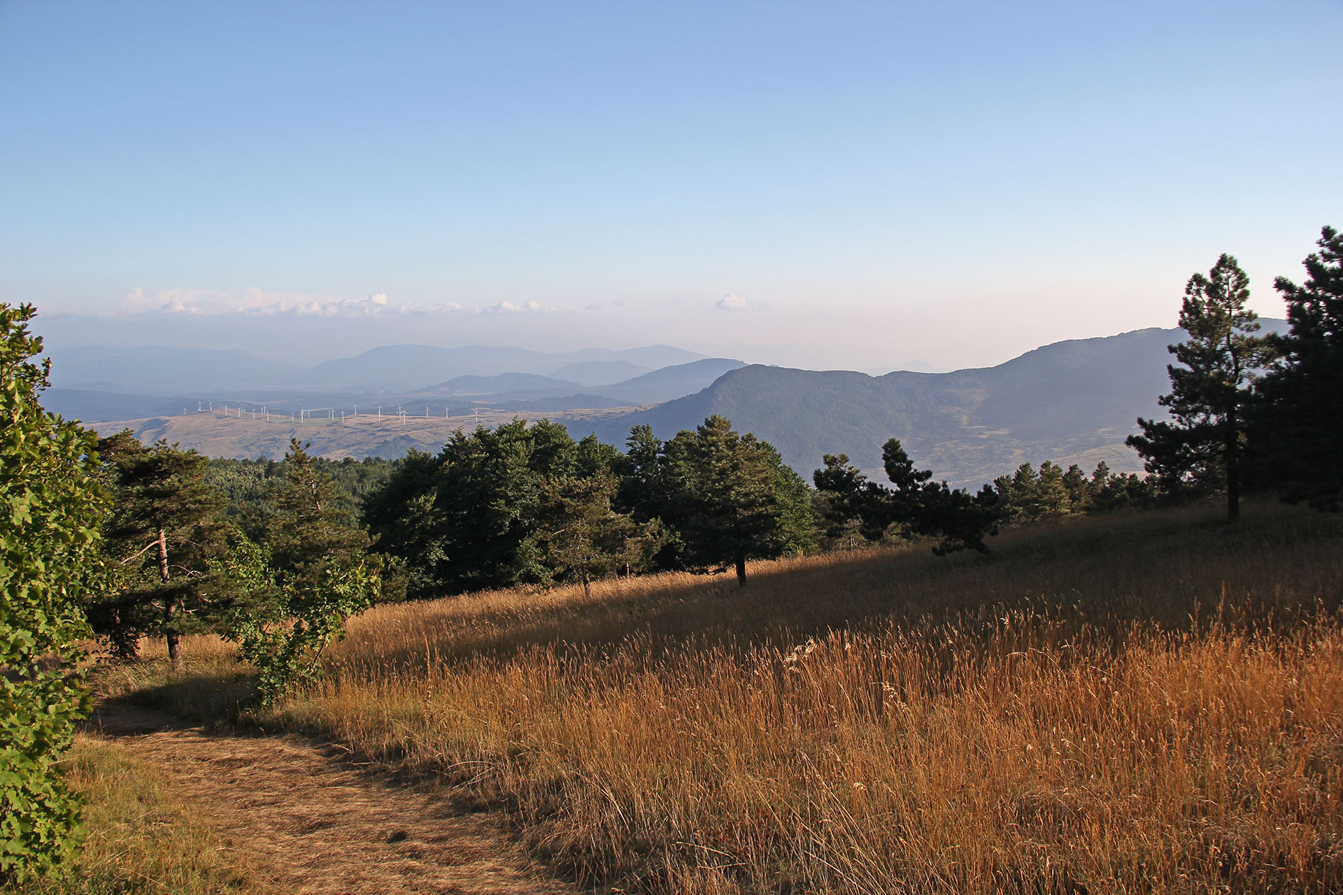 trekking monte campo capracotta (13)