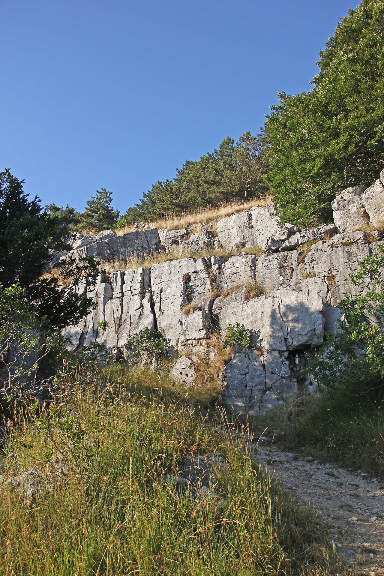 trekking monte campo capracotta (15)