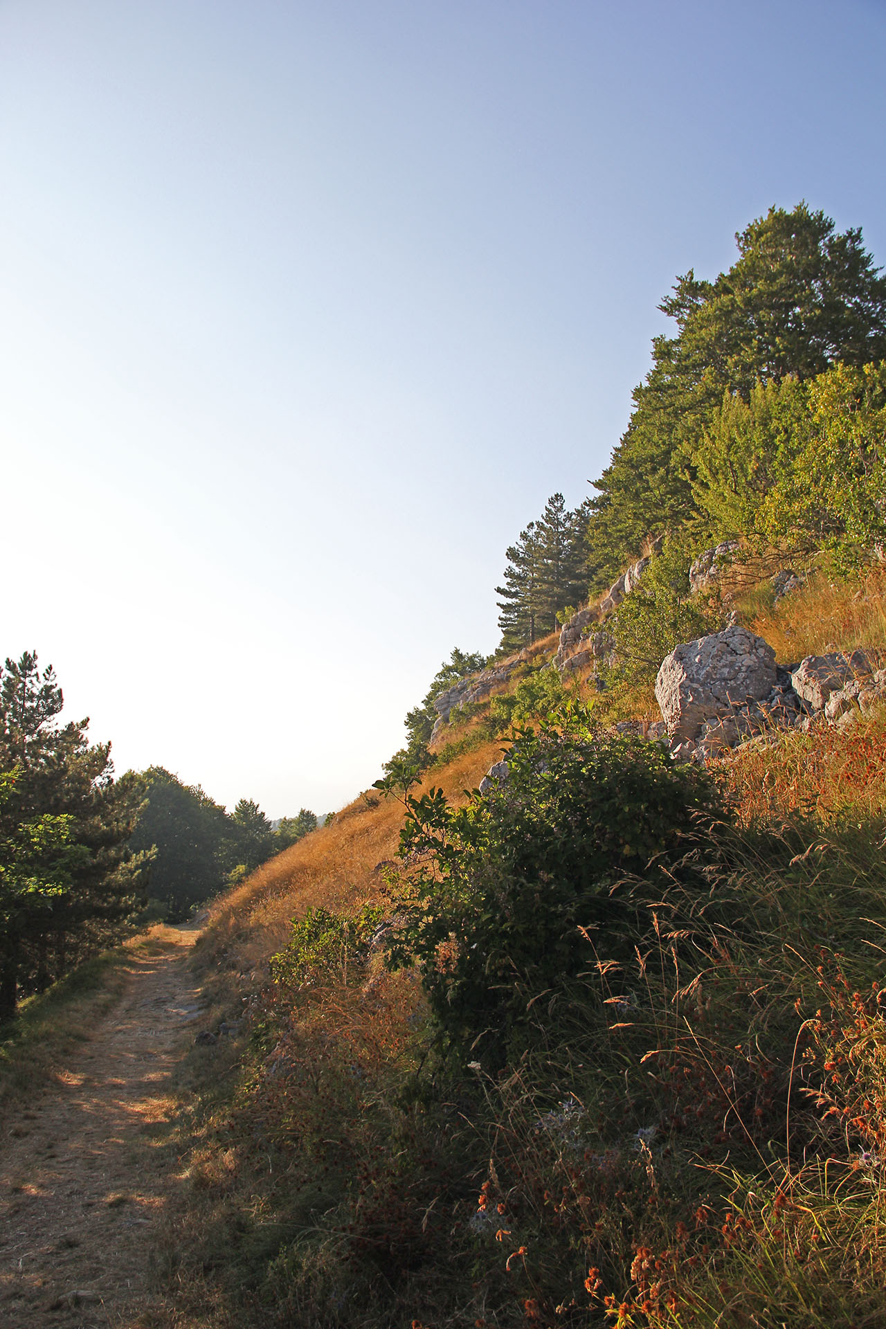 trekking monte campo capracotta (16)