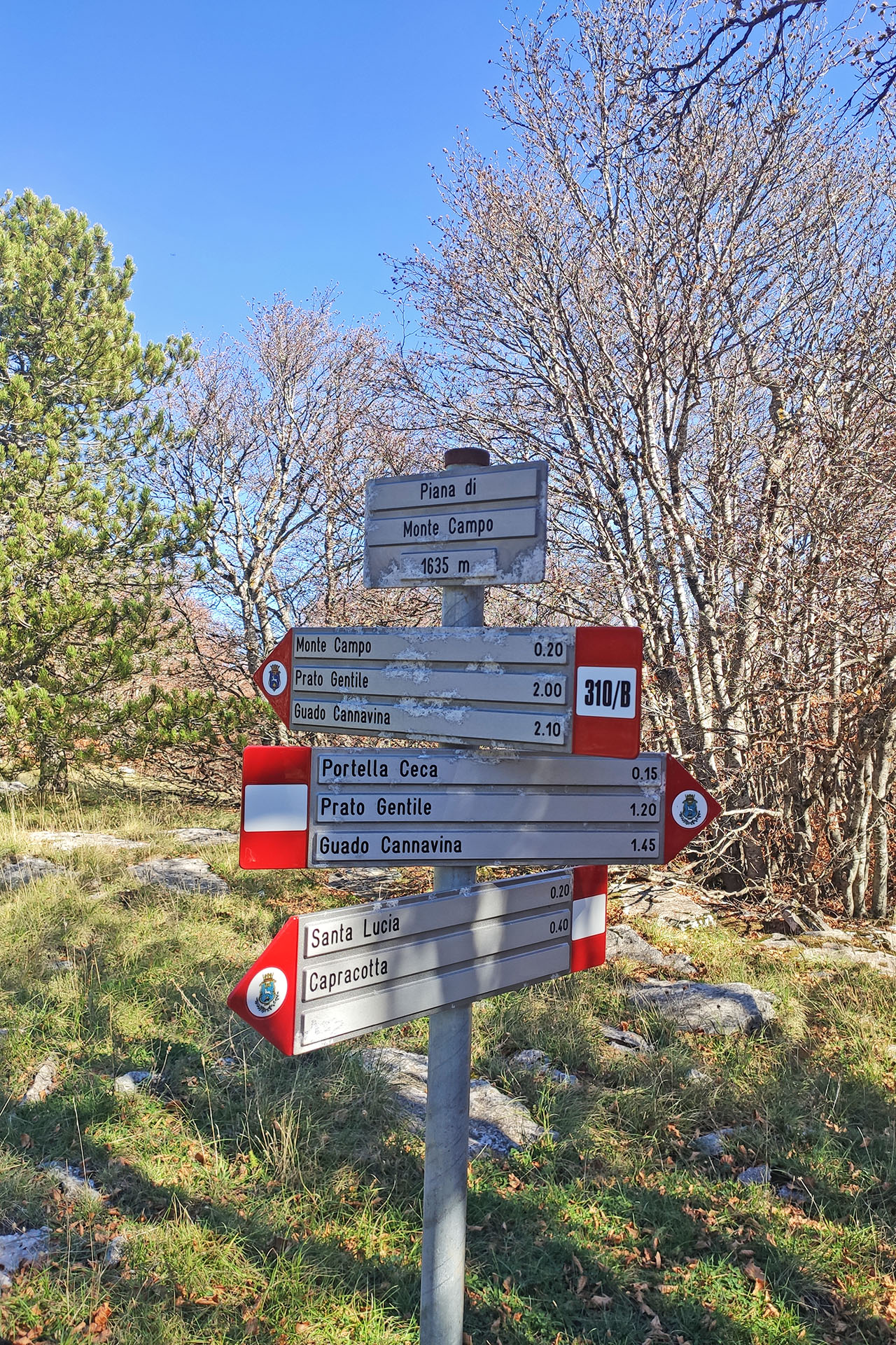 trekking monte campo capracotta (17)