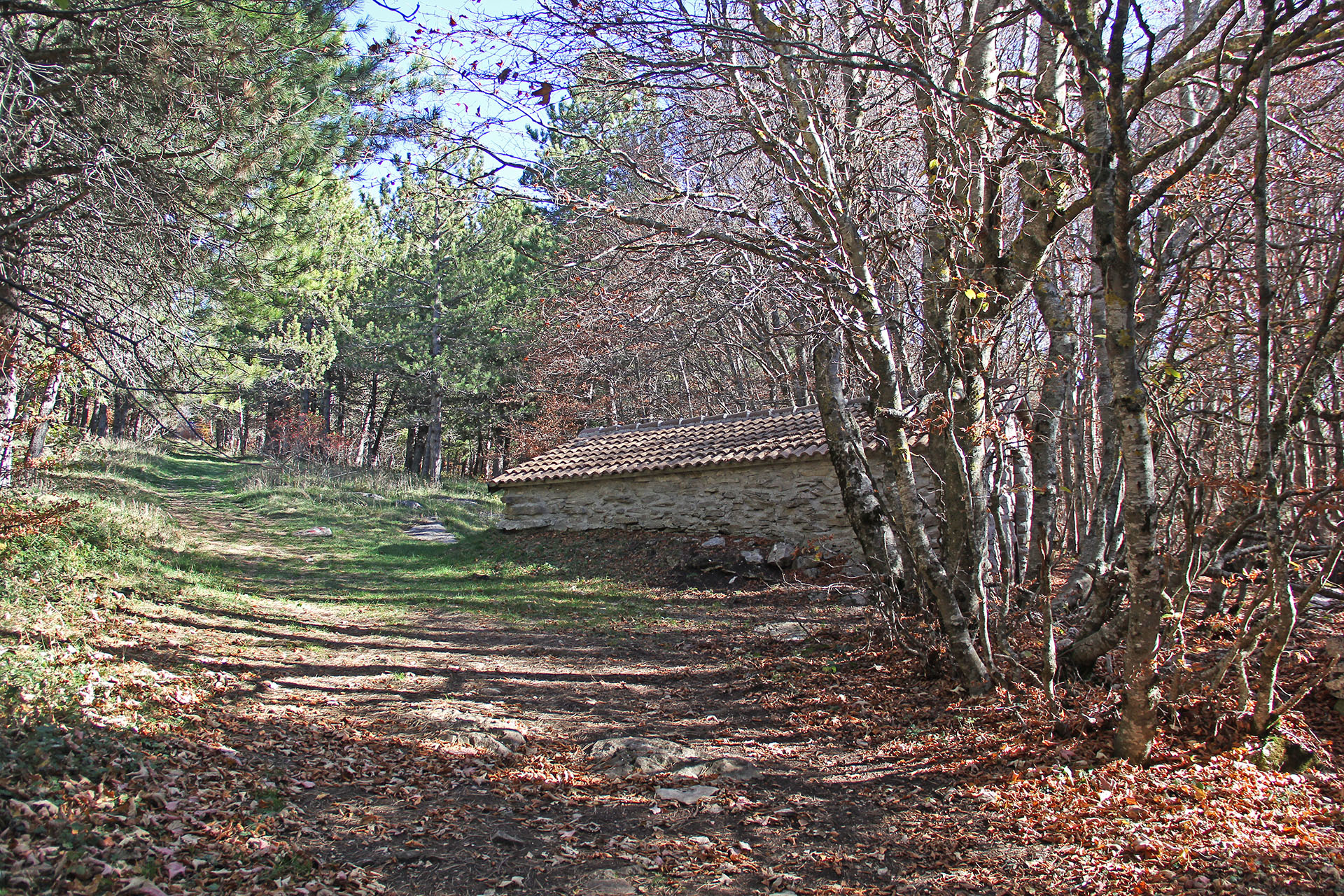 trekking monte campo capracotta (2)