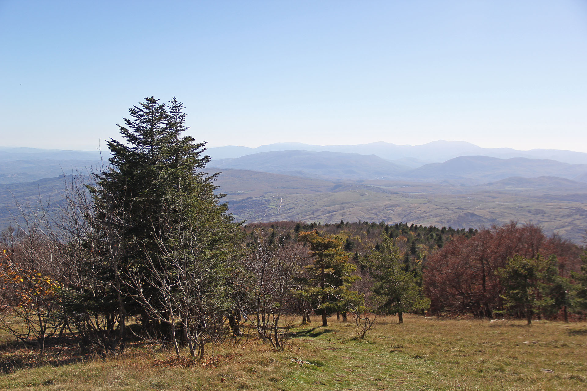 trekking monte campo capracotta (9)