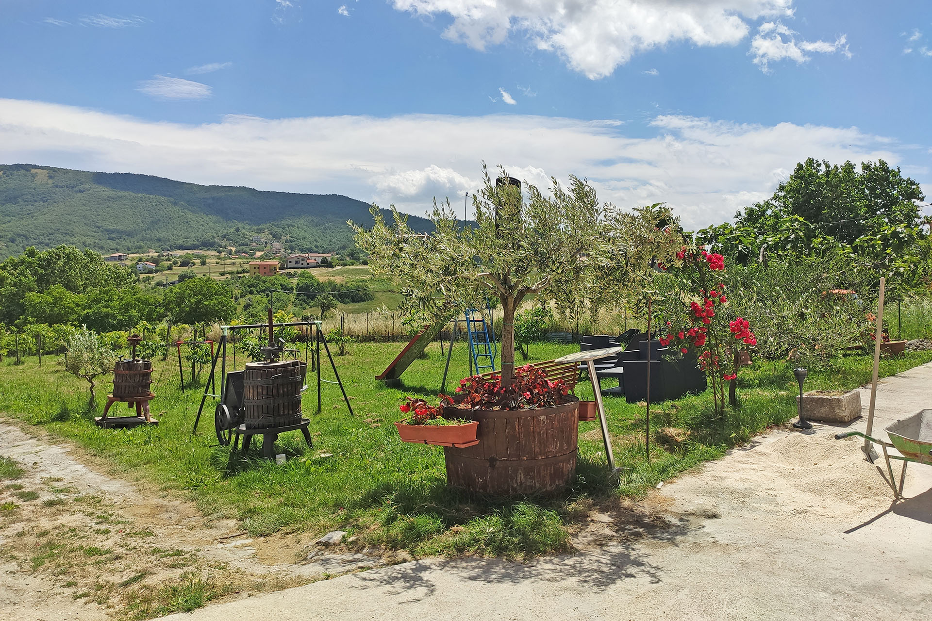 truffle hunting molise (1)