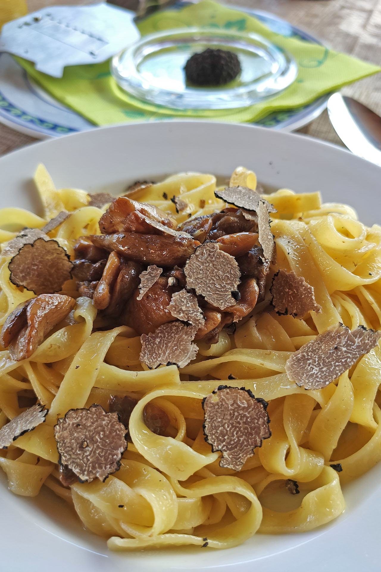 truffle hunting molise (12)