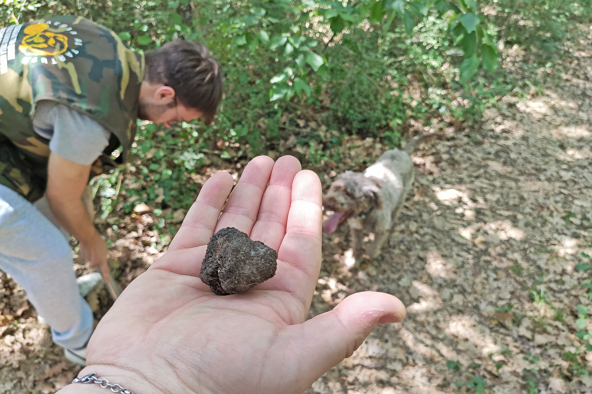 truffle hunting molise (17)