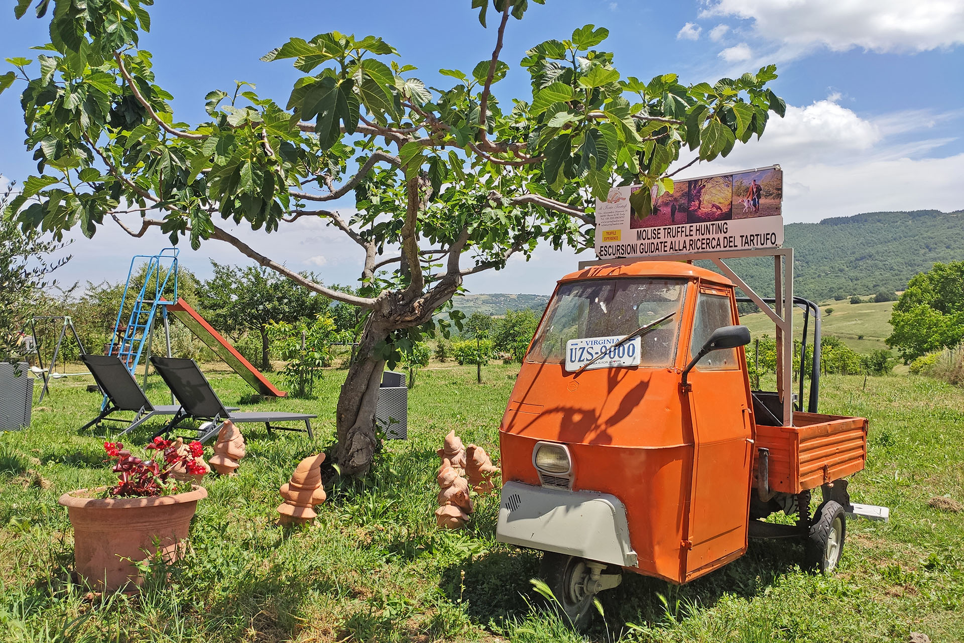 truffle hunting molise (2)