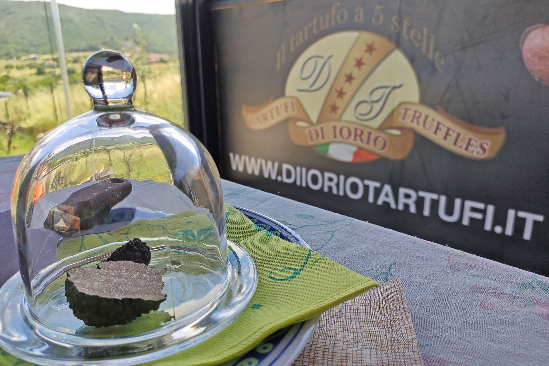 truffle hunting molise (8)