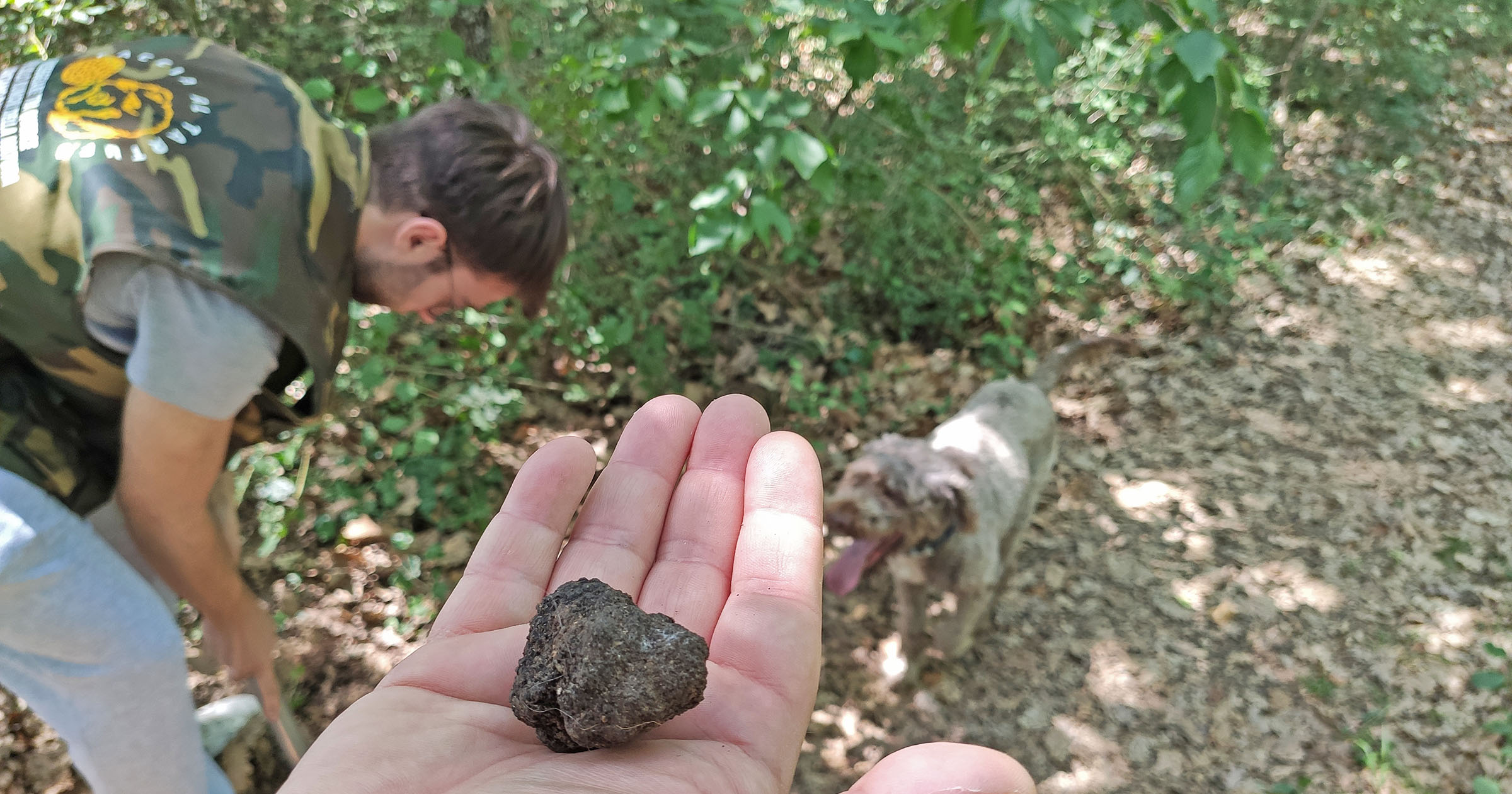 Truffle hunting in Molise, the land of truffles