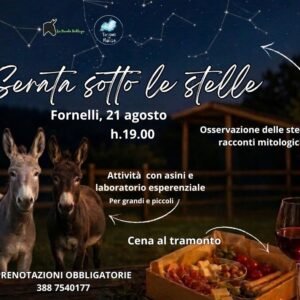 serata sotto le stelle