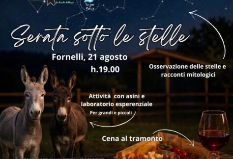 serata sotto le stelle