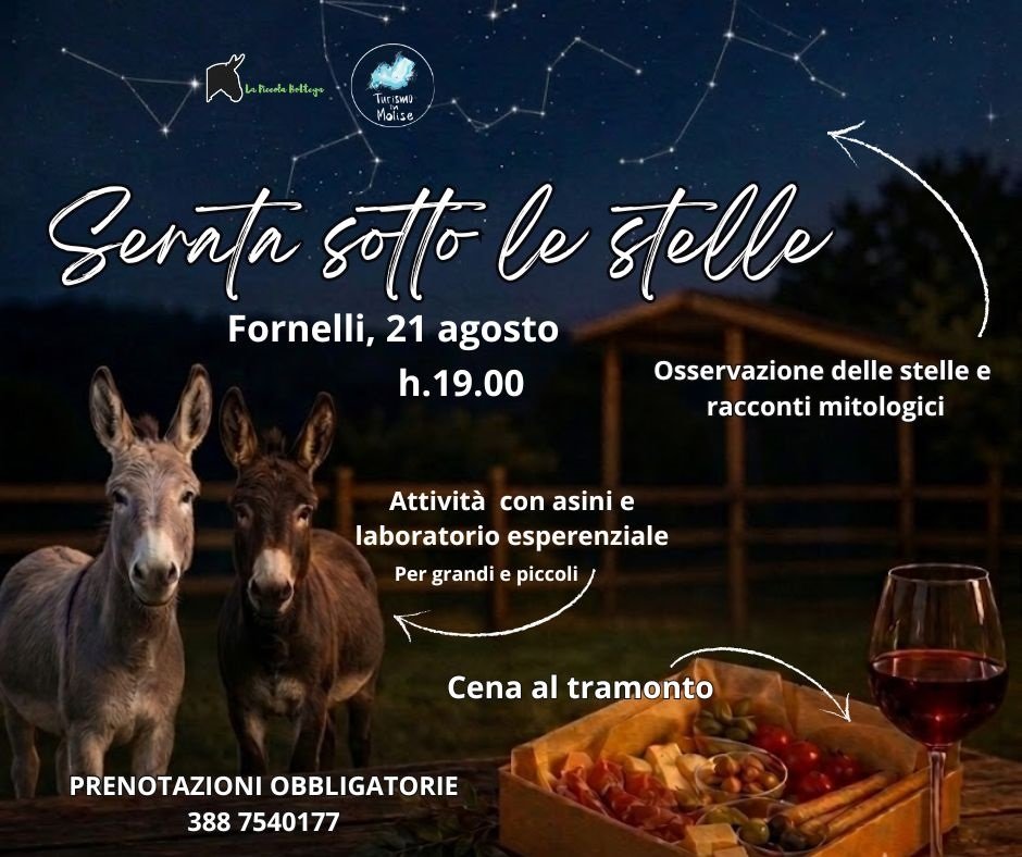 serata sotto le stelle